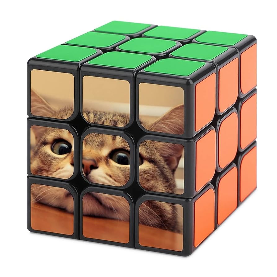 Amazon.co.jp: 机の上のかわいい猫スピードキューブ3x3 マジック